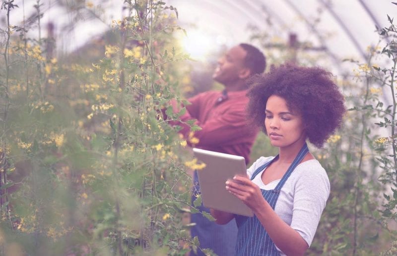 Agriculture uses big data