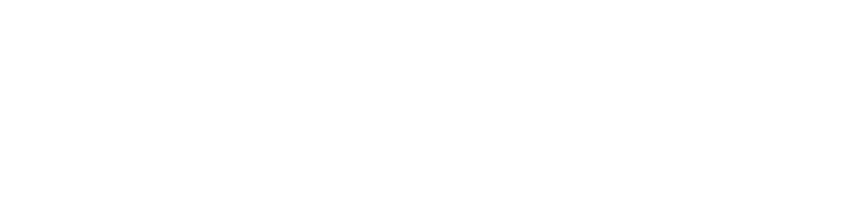 Torgaen County logo