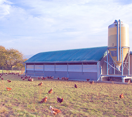 Barn image