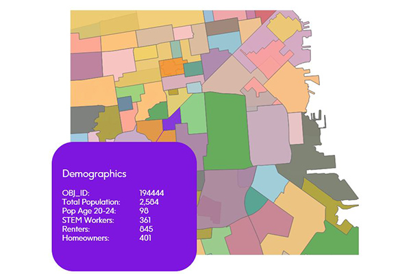 US Census Demographics: Demographics for Specific Geographic Areas