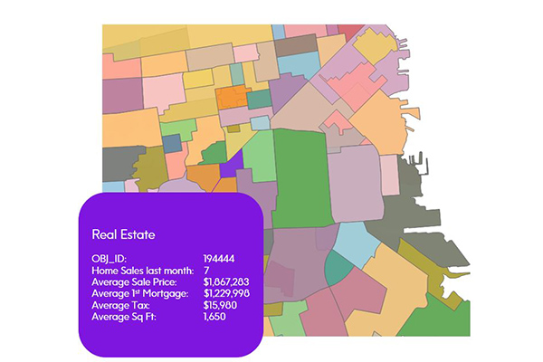 Real Estate Data: A Snapshot of Properties Making Up a Neighborhood