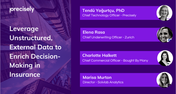 Intelligent Insurer Panel Location Intelligence: Delivering the Potential of Spatial Data to Public Services