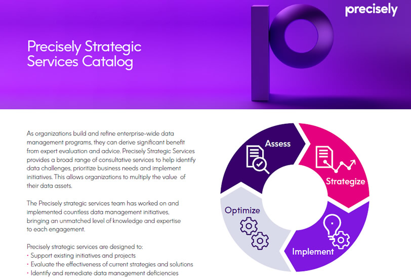 Precisely Strategic Services Catalog