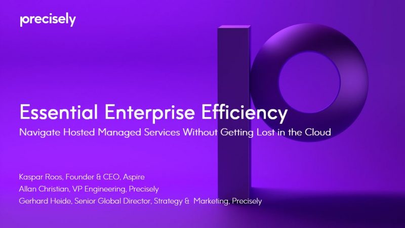 Essential Enterprise Efficiency Navigate hosted managed services without getting lost in the Cloud