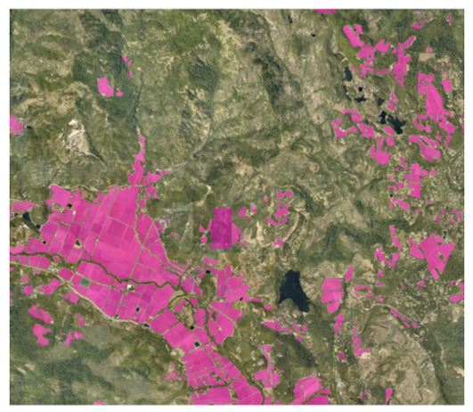 Wildfire Risk - Precisely