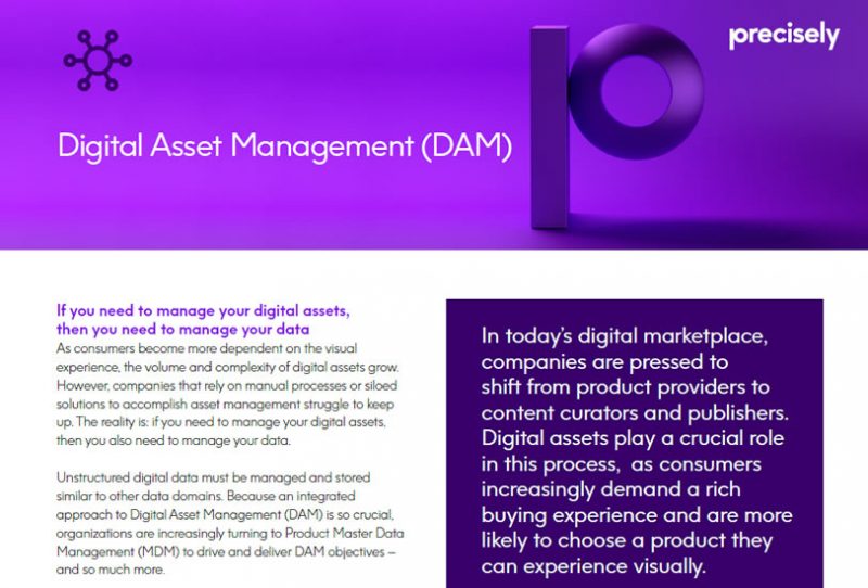 Digital Asset Management (DAM)