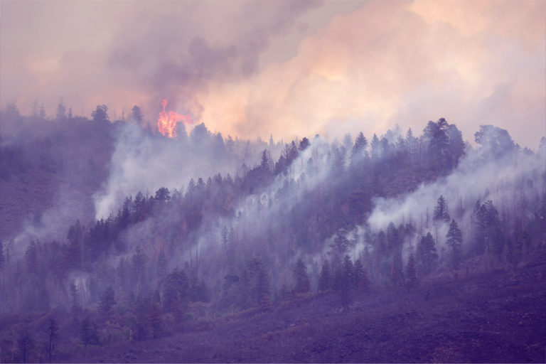 Understanding Wildfire Risk - The Marshall Fire – Not Your Average Wildfire