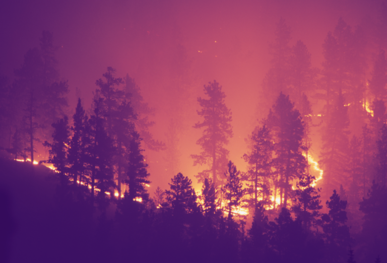 Wildfire Risk: 3 Things that Insurers Need to Know