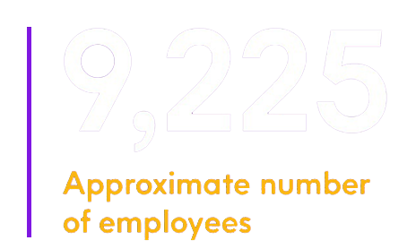 Approximate number of employees