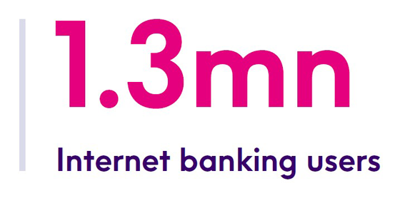 Internet banking users