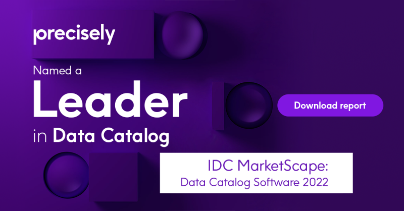 IDC Marketscape Data Catalog