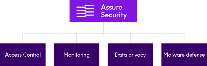 assure-security-diagram