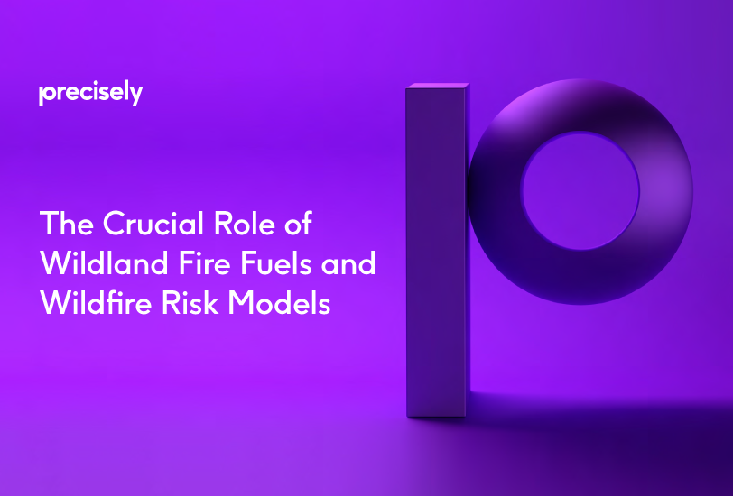 The Crucial Role of Wildland Fire Fuels and Wildfire Risk Models 