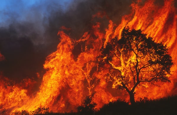 wildfire risk model