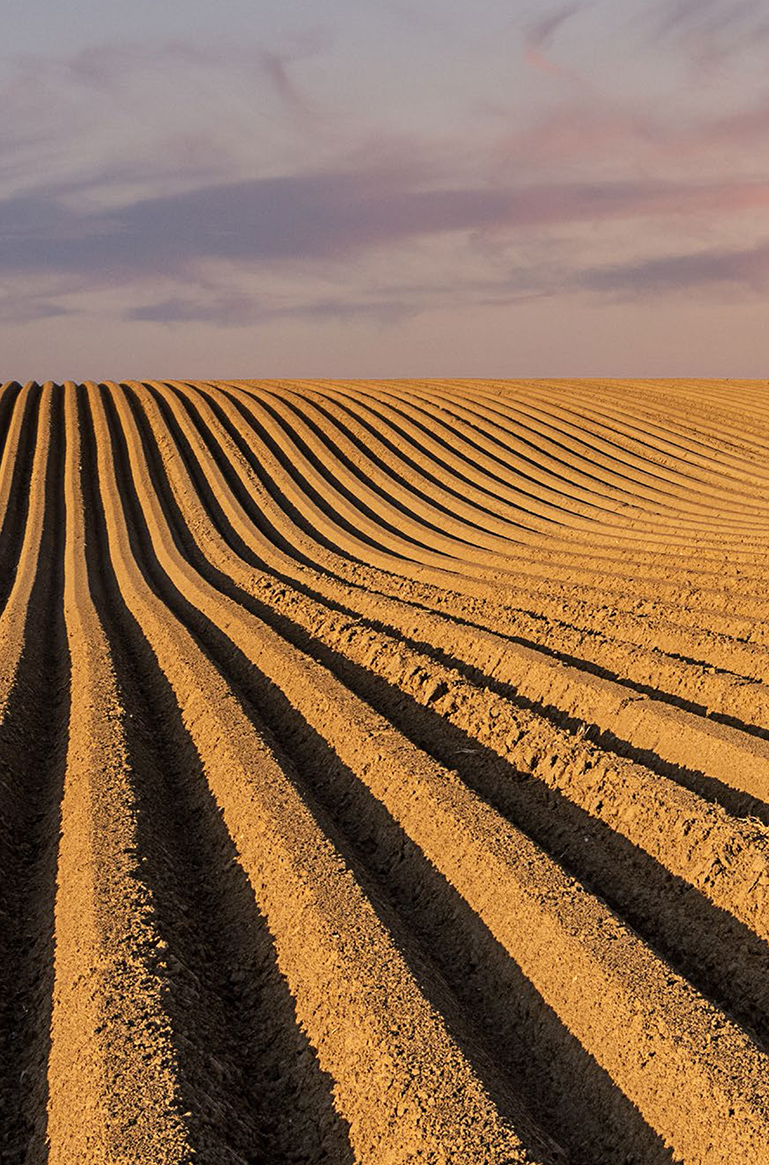 Field