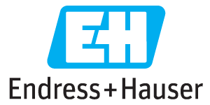 Endress Hauser