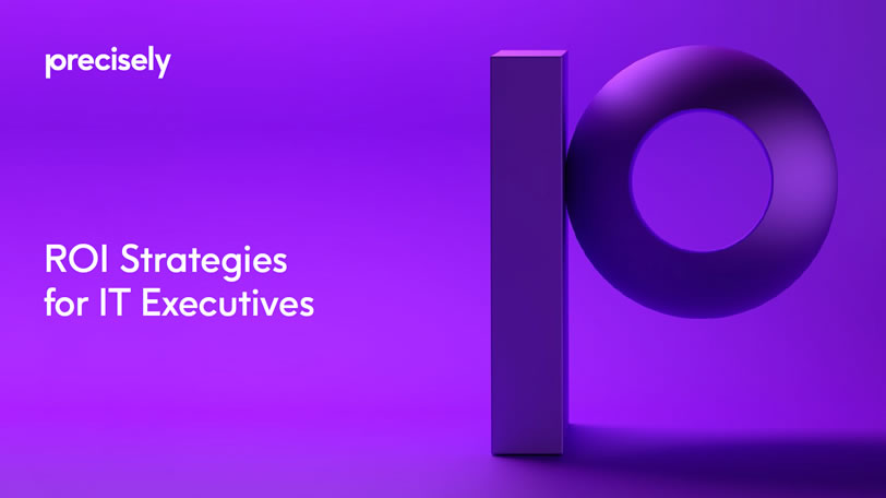 ROI Strategies for IT Executives ROI Strategies for IT Executives