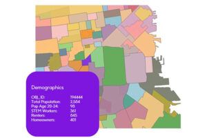 US Census Demographics: Demographics for Specific Geographic Areas