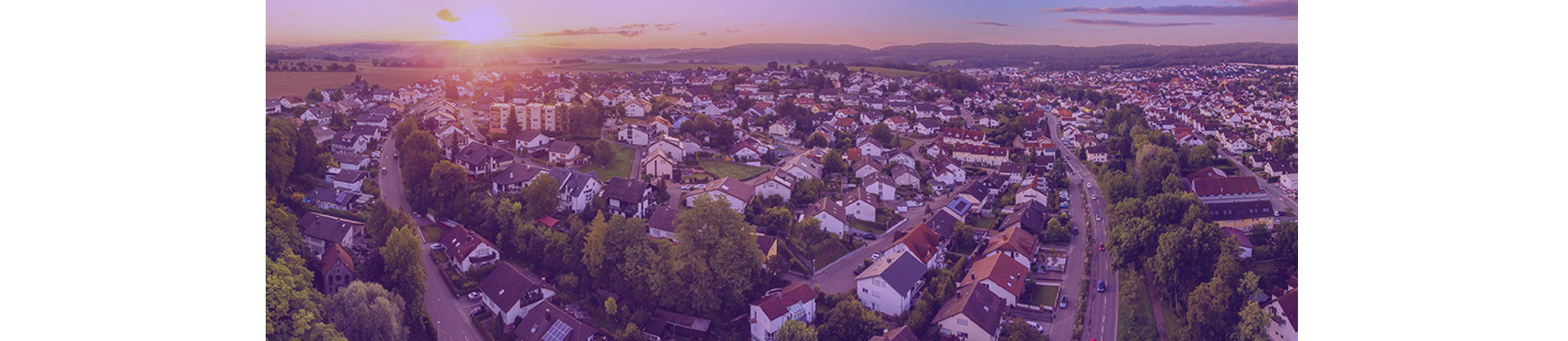 Neighborhood Demographic