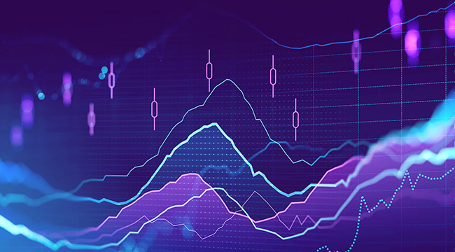 Dataset Assessment