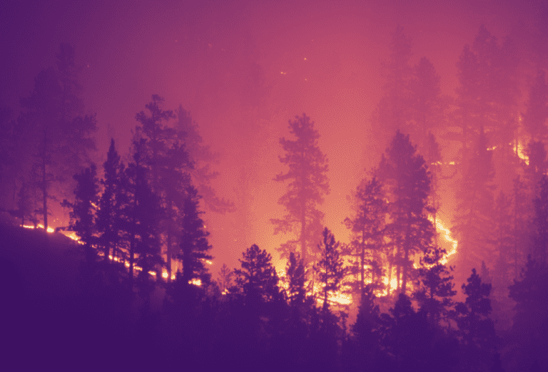 Wildfire Risk: 3 Things that Insurers Need to Know