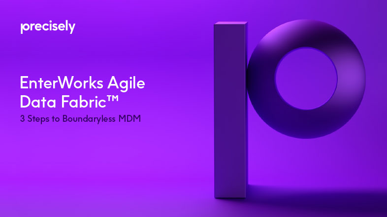 EB_Agile-Data-Fabric_cover_786x442