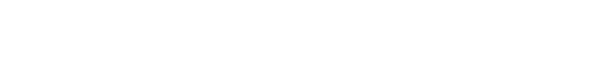 Data Integrity Suite logo