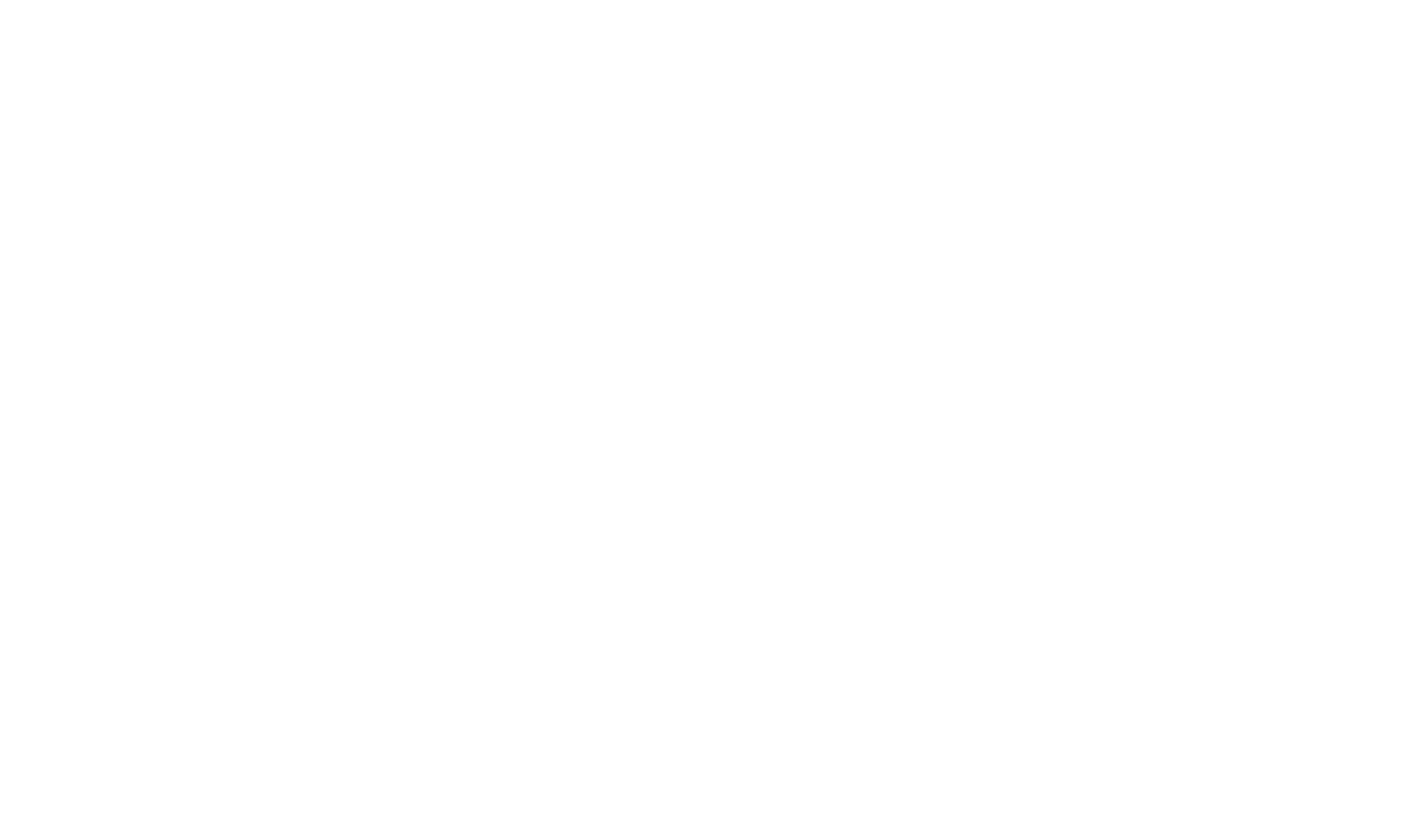 SkyNewZealand-whiteLogo
