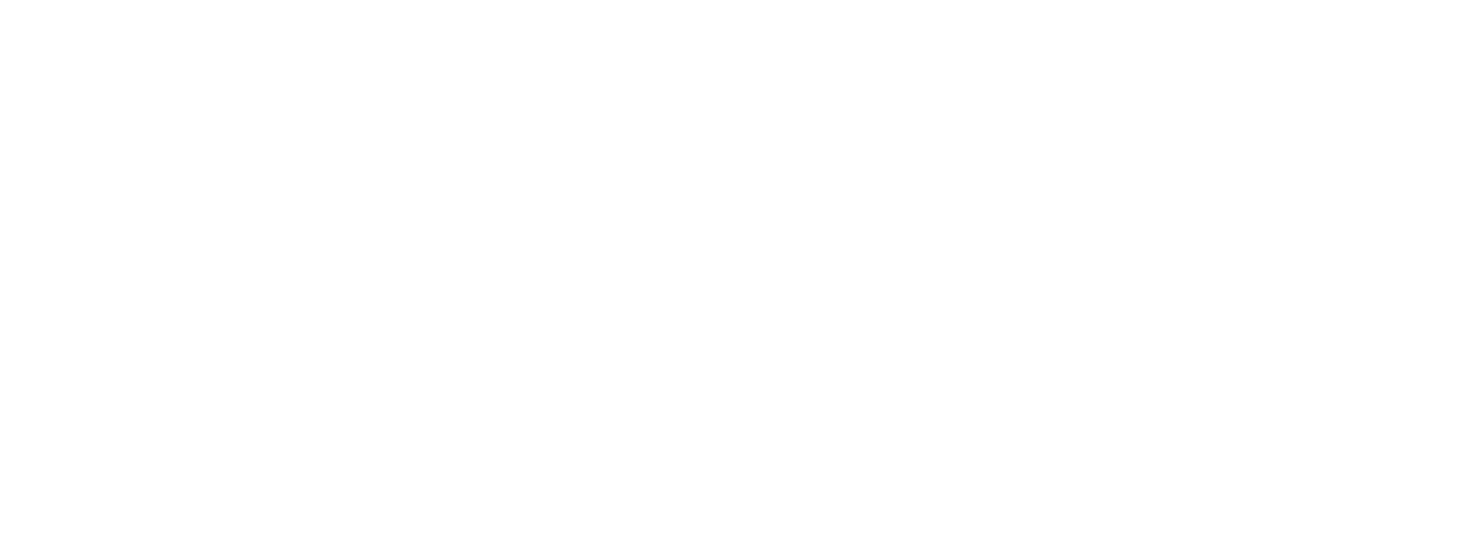 eurofiber white logo