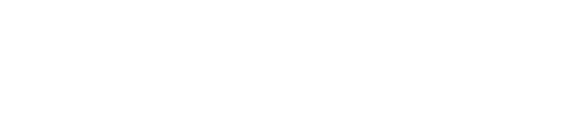 Direct Line white Logo