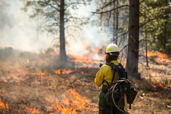 firefighter at a wildfire - wildfire risk model
