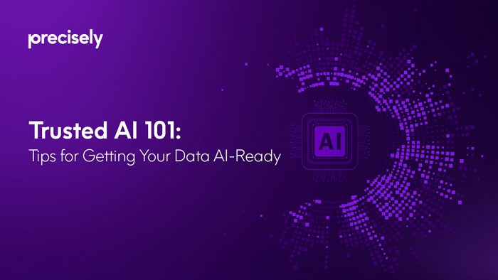 Ebook: Trusted AI 101 - Precisely