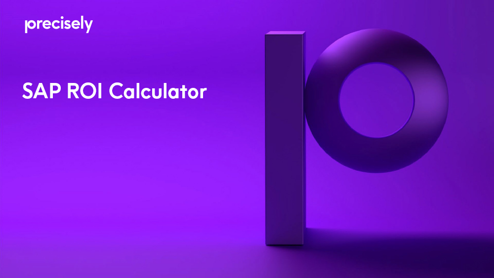 sap_roi_calc
