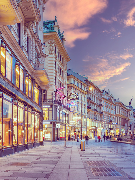 View Vienna