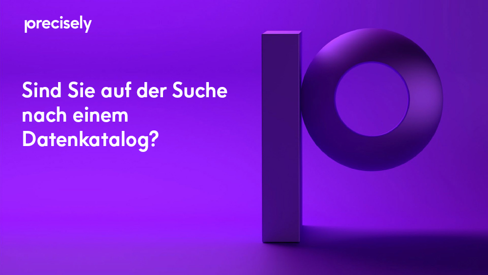 Looking-For-a-Data-Catalog_de