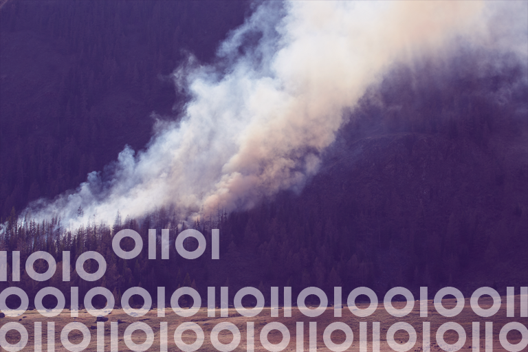 Understanding Wildfire Risk - Smarter Data for Better Coverage and Risk Management