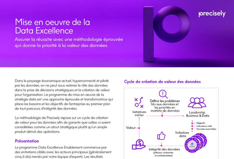 Mise en oeuvre de la Data Excellence