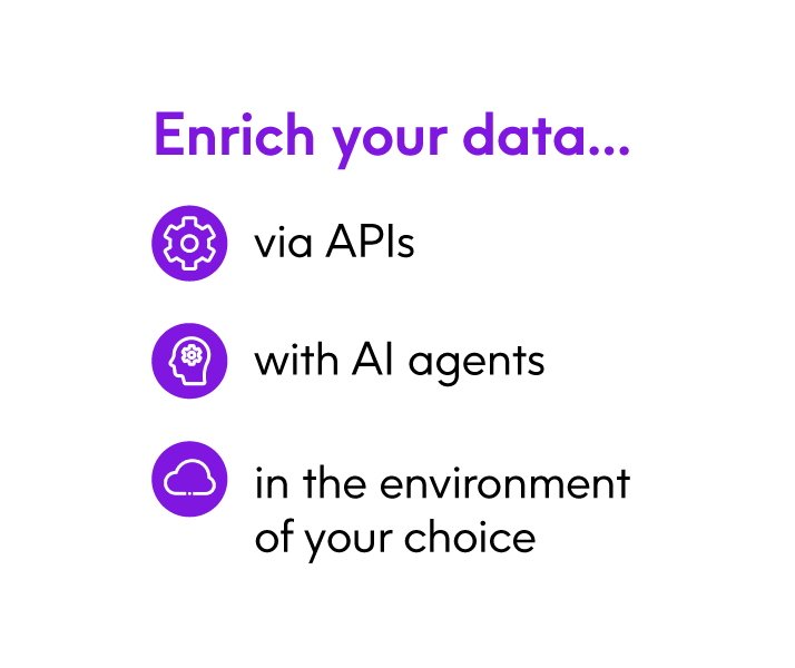 Data Integrity Suite - Data Enrichment